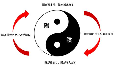 陰陽 太極|陰陽論から読み解く太極の本質【陰陽論①】 